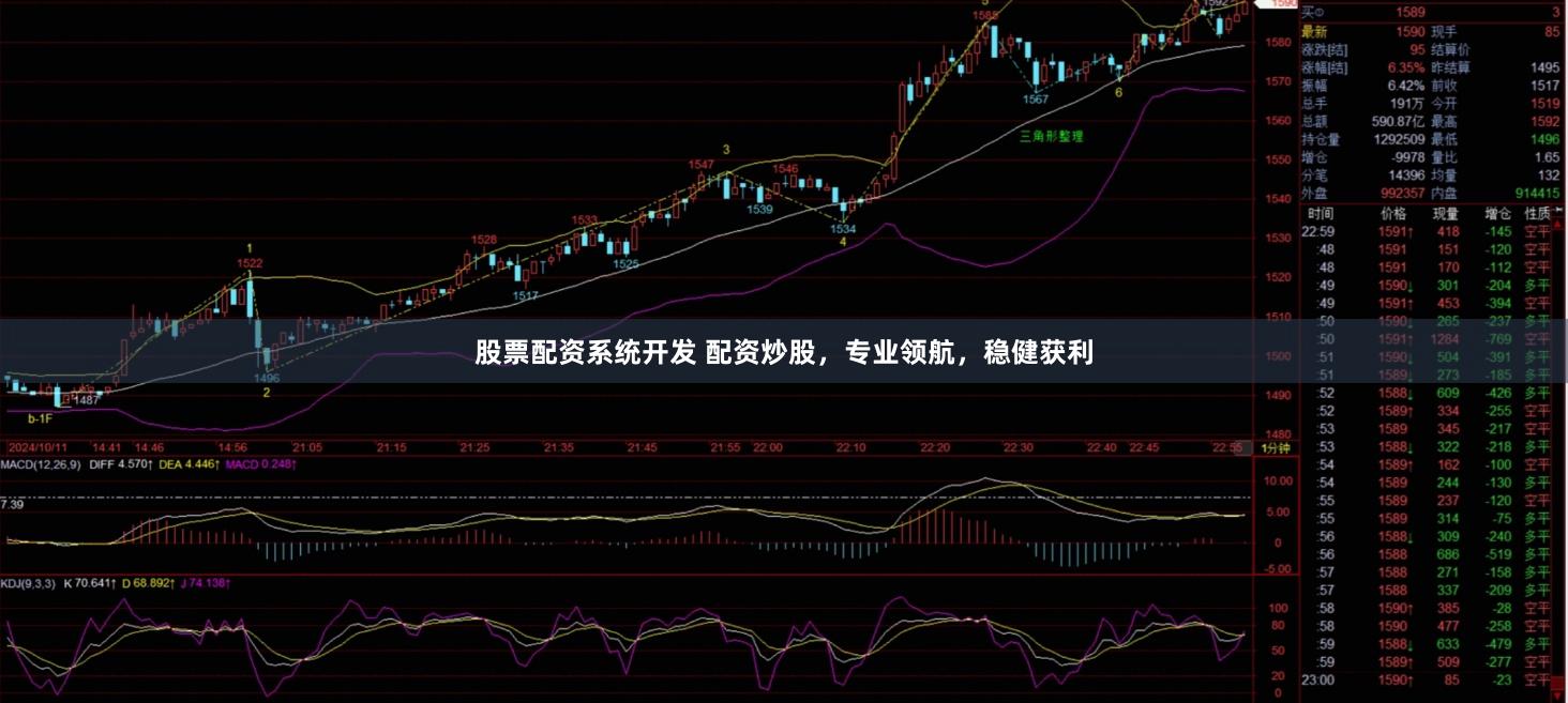 股票配资系统开发 配资炒股，专业领航，稳健获利