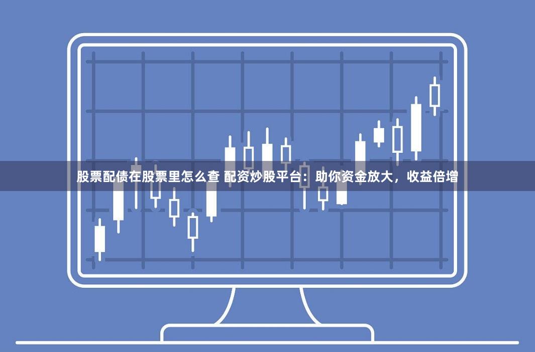 股票配债在股票里怎么查 配资炒股平台:助你资金放大,收益倍增