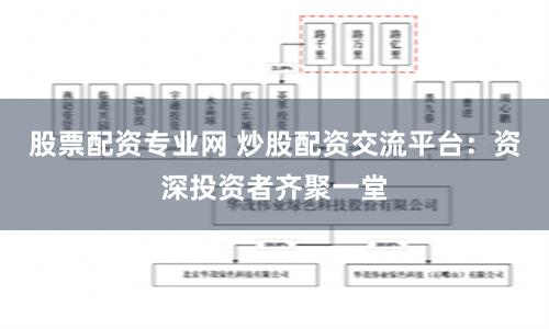 股票配资专业网 炒股配资交流平台：资深投资者齐聚一堂