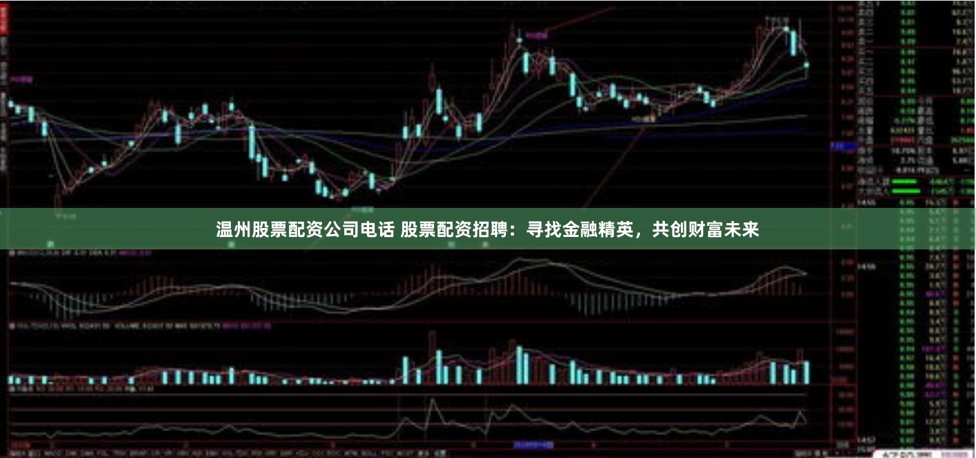 温州股票配资公司电话 股票配资招聘:寻找金融精英,共创财富未来