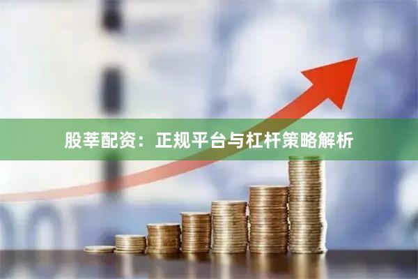 股莘配资：正规平台与杠杆策略解析