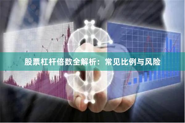 股票杠杆倍数全解析：常见比例与风险
