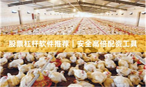 股票杠杆软件推荐｜安全高倍配资工具