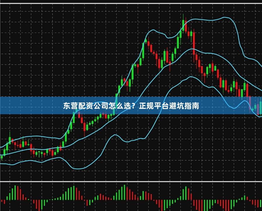 东营配资公司怎么选？正规平台避坑指南